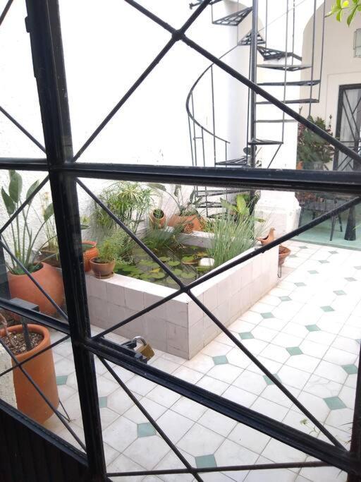 Casa Cuauhtemoc Villa Guadalajara Eksteriør bilde