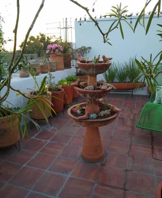 Casa Cuauhtemoc Villa Guadalajara Eksteriør bilde