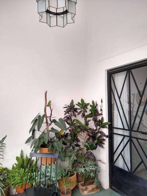 Casa Cuauhtemoc Villa Guadalajara Eksteriør bilde